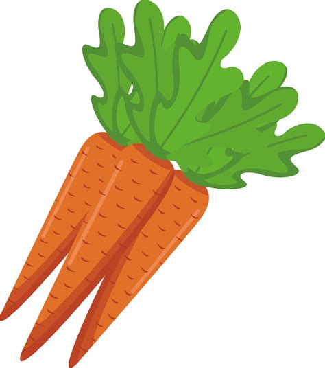 cenoura desenho-4